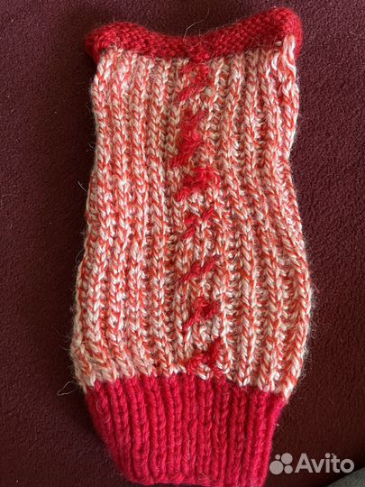 Одежда для маленьких собак