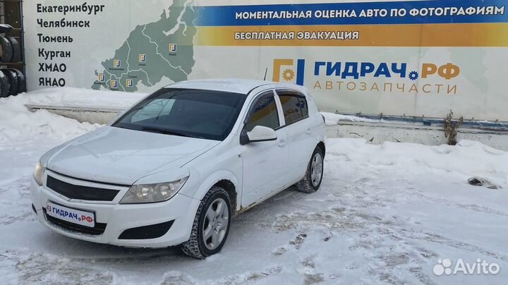 Плафон салонный Opel Astra (H) 1740269