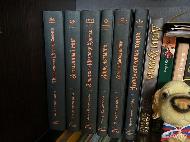 Куча книг (ромфант, фентези)