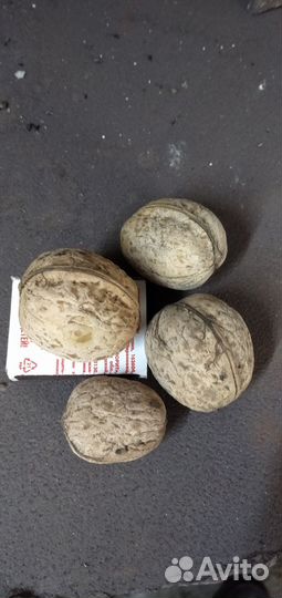 Продам грецкий орех