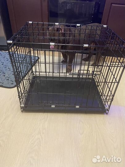 Вольер. Клетка для собак