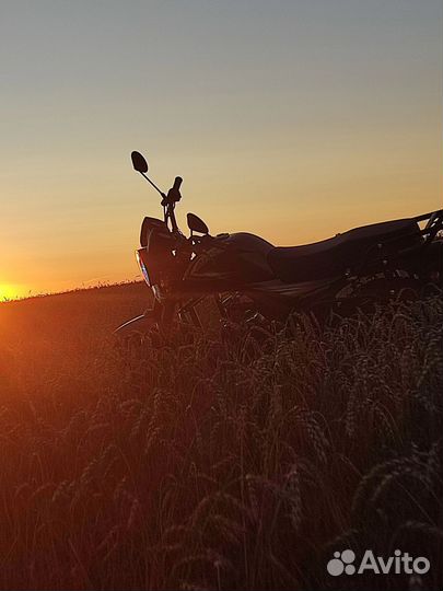 Альфа турист 150