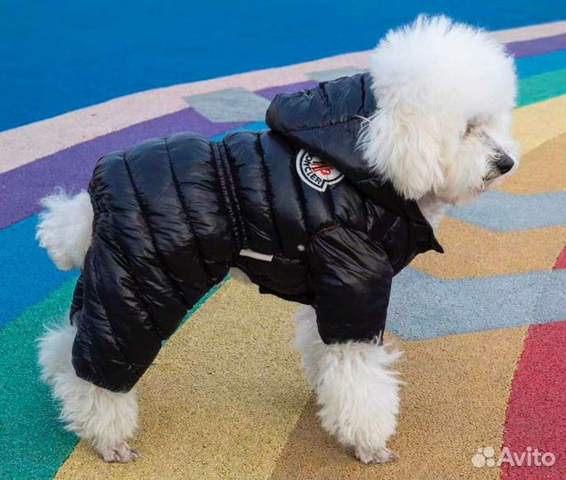 Комбинезон для собаки