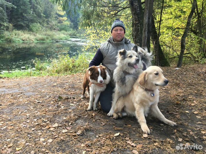 Передержка для собак/ зоогостиница / догситтер