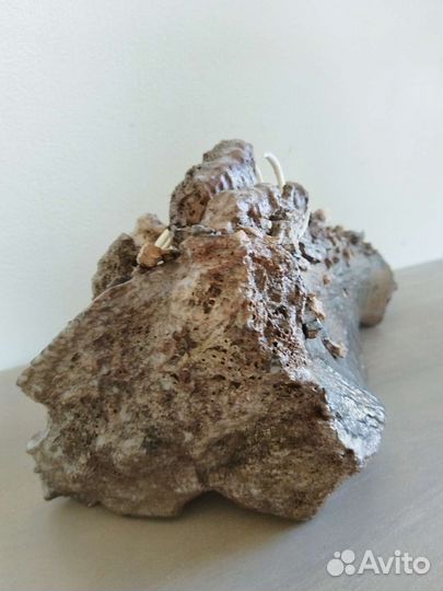 Бивень мамонта