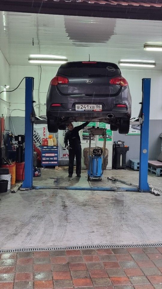 Kia Ceed: фото владельца