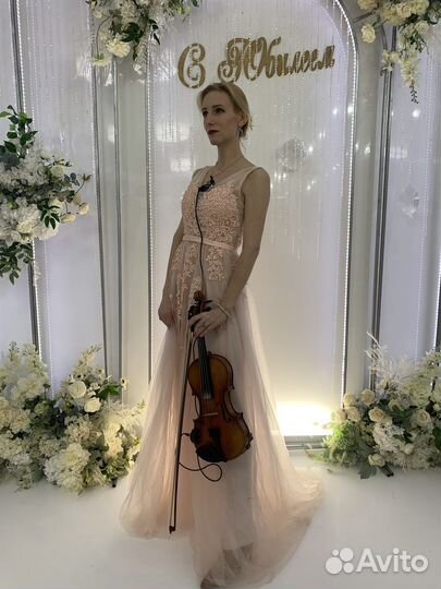 Скрипка на праздник