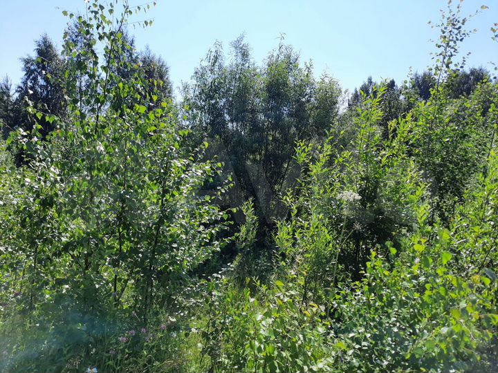 Участок 20 сот. (ИЖС)