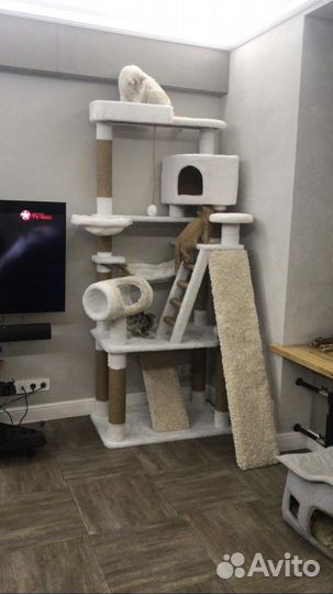 Игровой комплекс для кошек