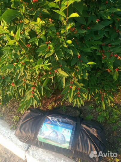 Палатка (ангар)