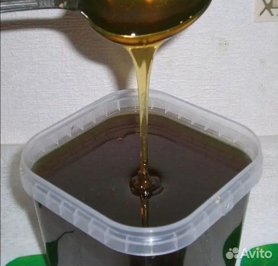 Гречишный свежий мед оптом