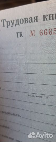 Трудовые книжки (ТК