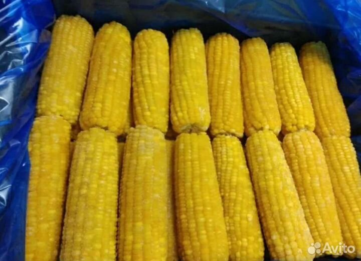 Кукуруза