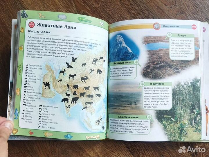 Современная детская энциклопедия