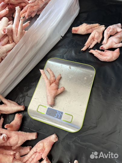 Куриные лапы плюсны экспорт в китай
