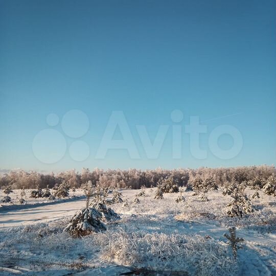 Участок 6,7 сот. (ИЖС)