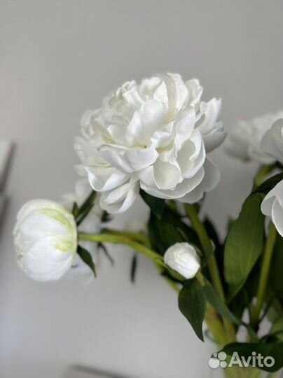 Букет цветов пионы