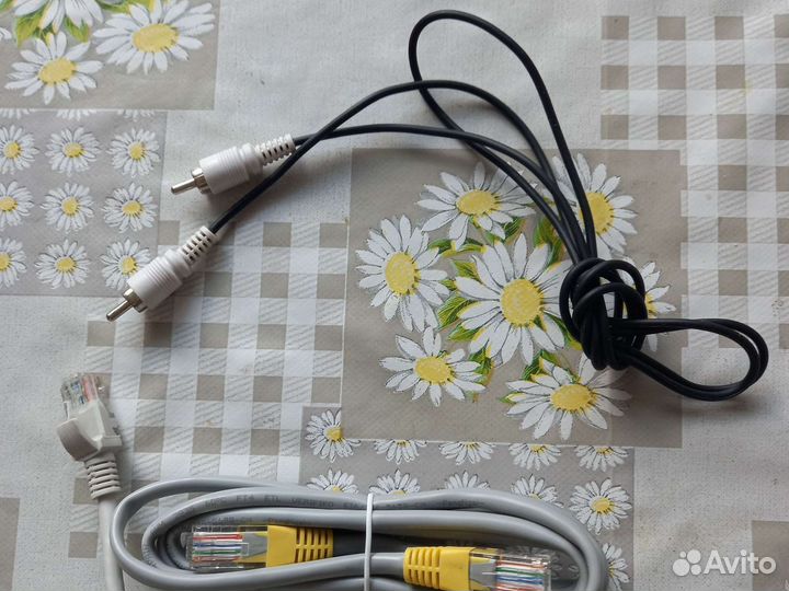 Тюльпаны провода