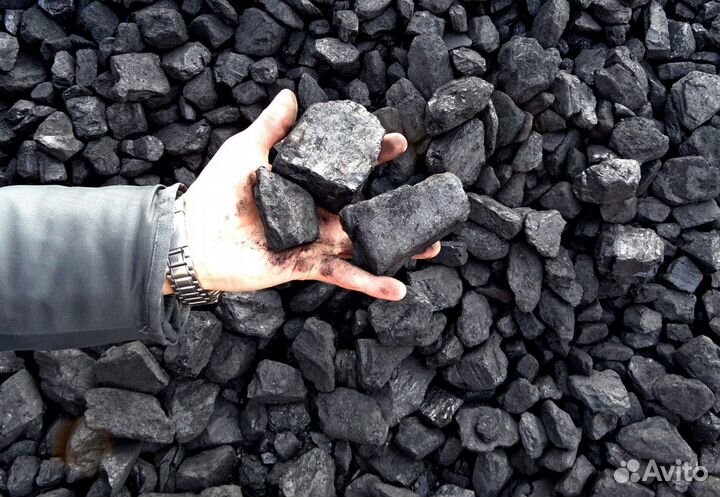 Уголь дом и дпк + доставка сегодня