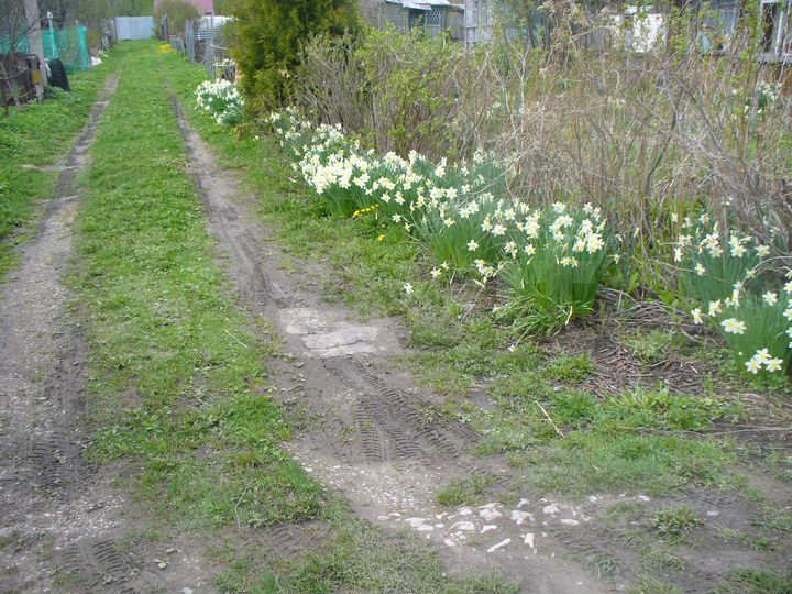 Участок 4,3 сот. (СНТ, ДНП)