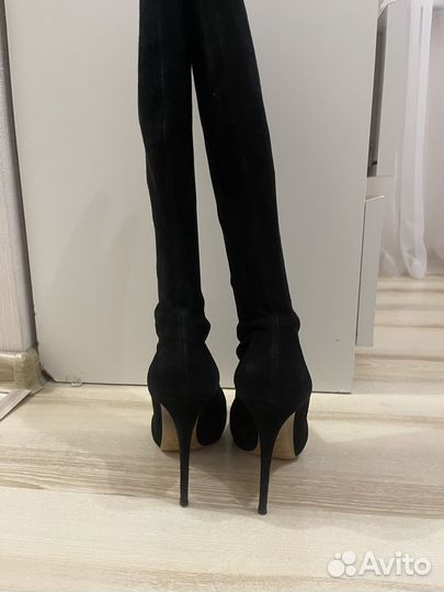 Сапоги ботфорты casadei