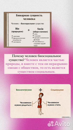 Репетитор по обществознанию впр огэ егэ