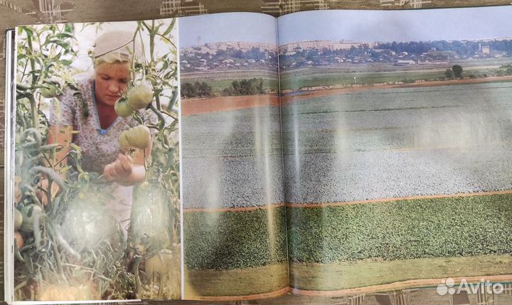 Подмосковье Фотоальбом