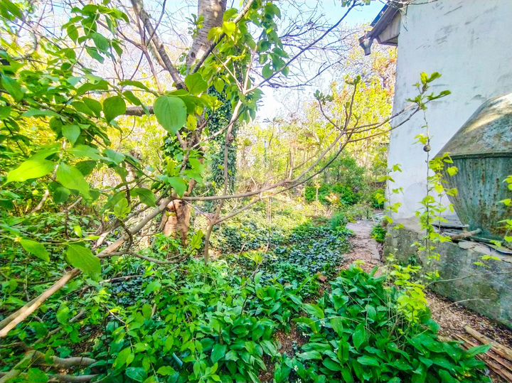 Участок 4 сот. (СНТ, ДНП)