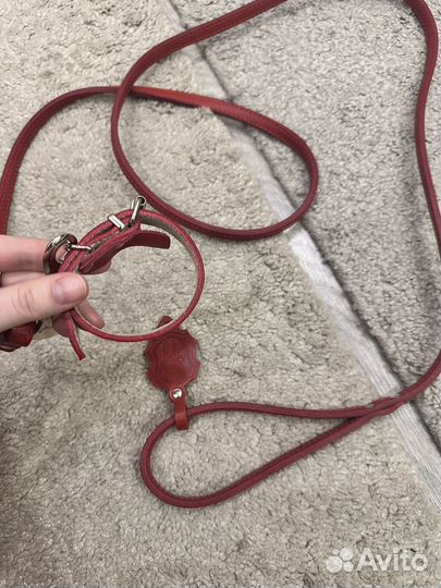 Поводок для собак
