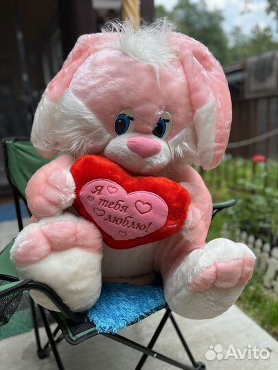 Заяц