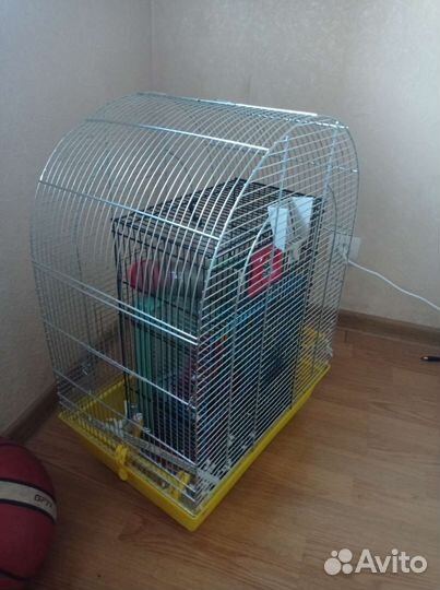 Клетка для попугая бу