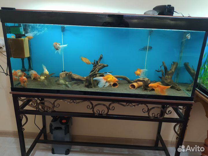 Аквариум с рыбками