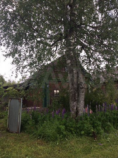 Участок 15 сот. (ИЖС)