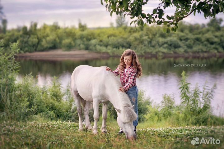 Жеребчик пони