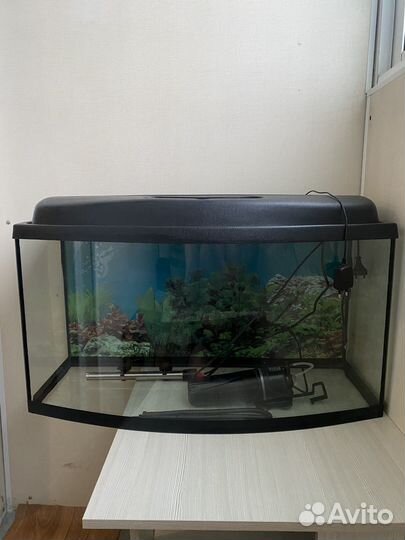 Аквариум