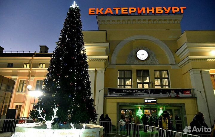 Огромная Елка для центральной площади