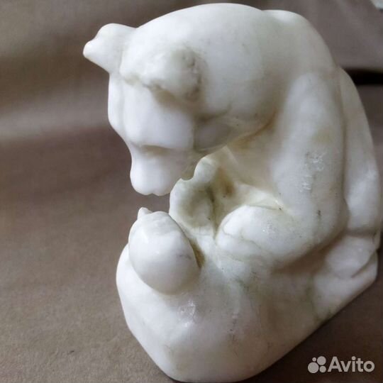 Мраморный медведь