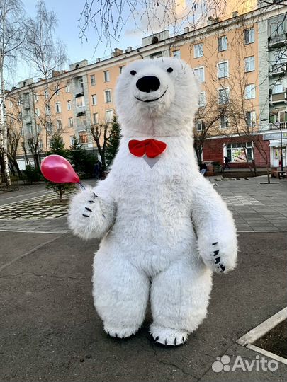 Белый медведь Фёдор поздравление / аренда костюма