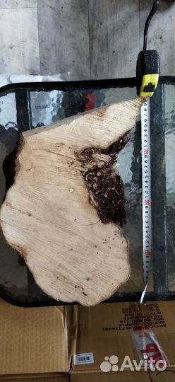 Спилы дерева