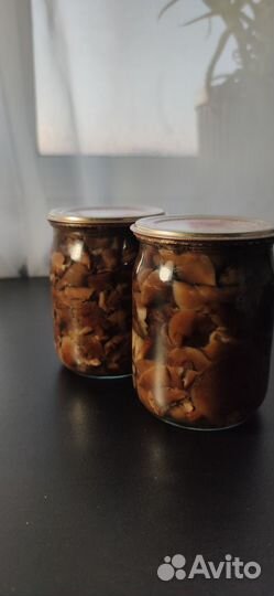 Маринованные опята