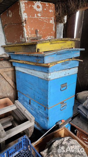 Продам двухкорпусные ульи 