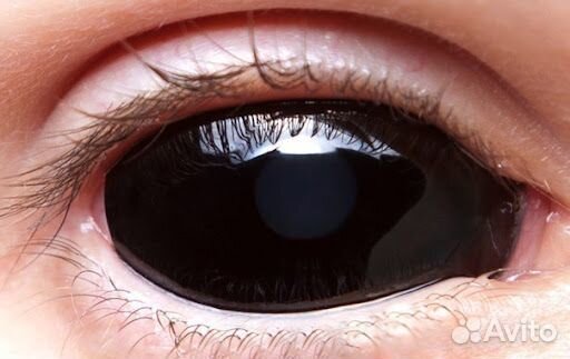 Линзы черные склеры