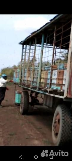 Продам пасеку