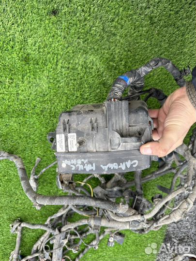 Проводка Киа рио 3 МКПП механика