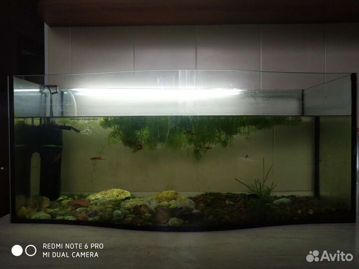 Аквариум