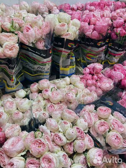 Букеты из Роз Цветы и компощиции с доставкой