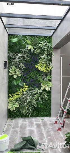 Фитостена, вертикальное озеленение, картины