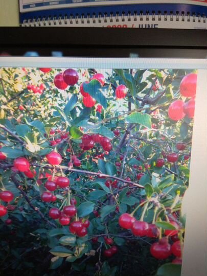 Дача 20 м² на участке 6 сот.