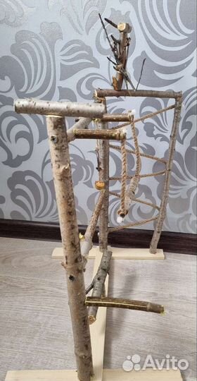 Стенд для попугаев и других птиц