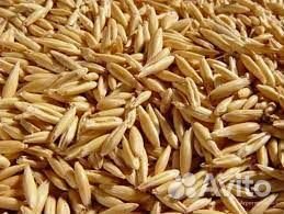 Жмых/ Жом/ Отруби/ Крупы/ Корма